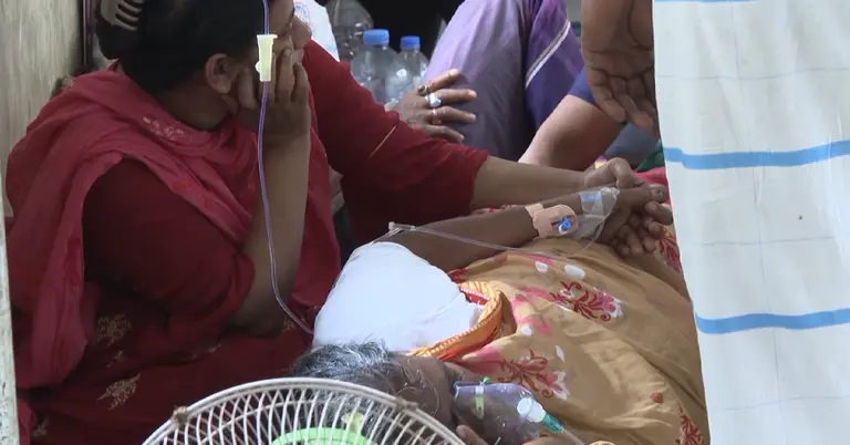 হাসপাতালে ডেঙ্গু রোগী